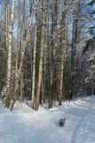 Парк "Сергиевка", image of landscape/habitat.