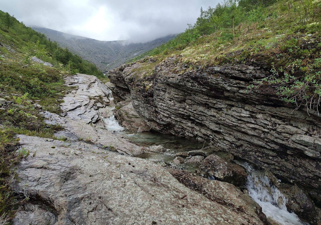 Ручей Маннепахк, image of landscape/habitat.