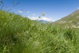 Верхний Имеретинский водопад, image of landscape/habitat.