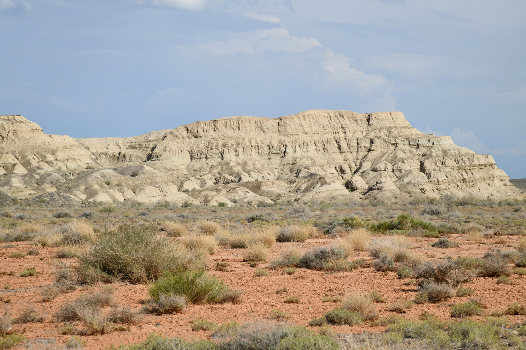 Горы Улькен-Богуты, image of landscape/habitat.