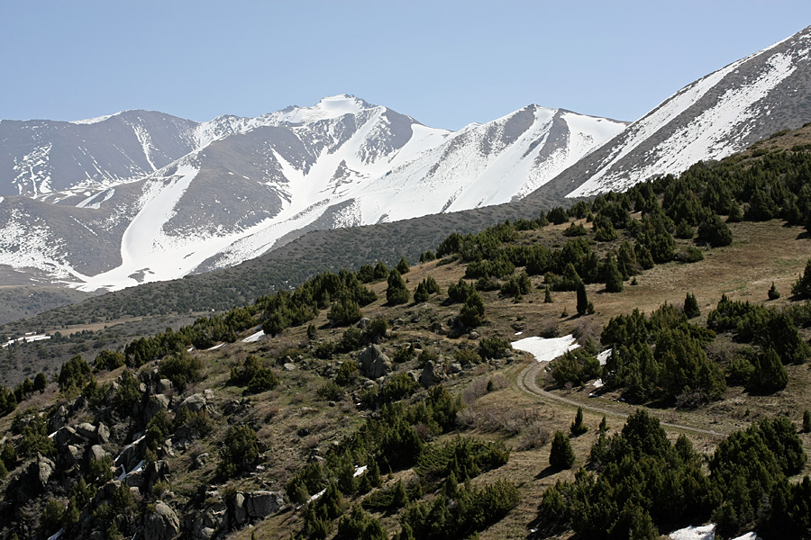 Домик Тризны, image of landscape/habitat.