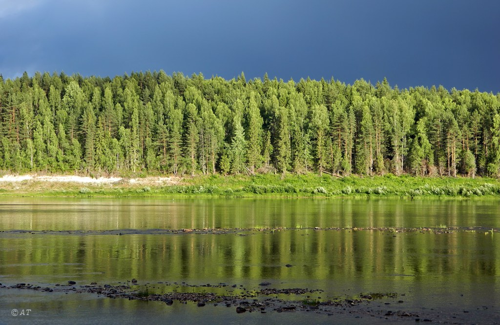 Устье Верхней Ёрги, image of landscape/habitat.