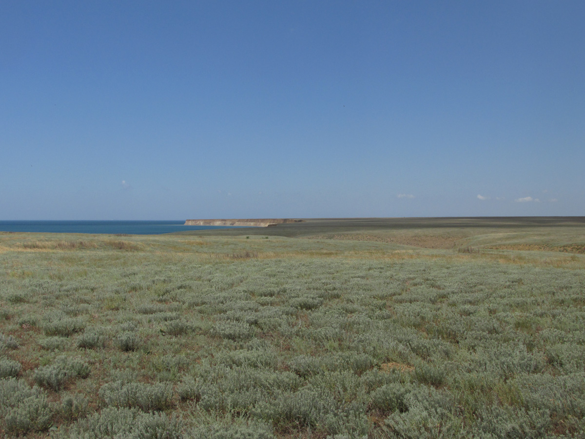 Мыс Чауда, image of landscape/habitat.