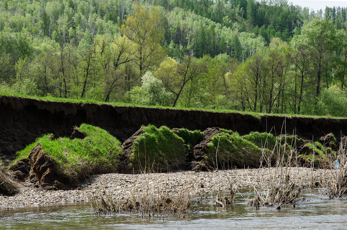 Акназарово и окрестности, image of landscape/habitat.