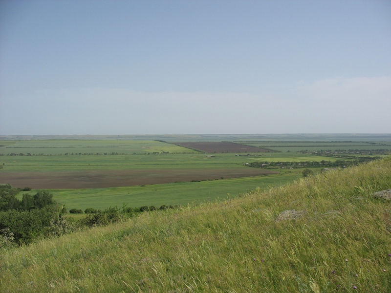 Окрестности Шишкино, изображение ландшафта.