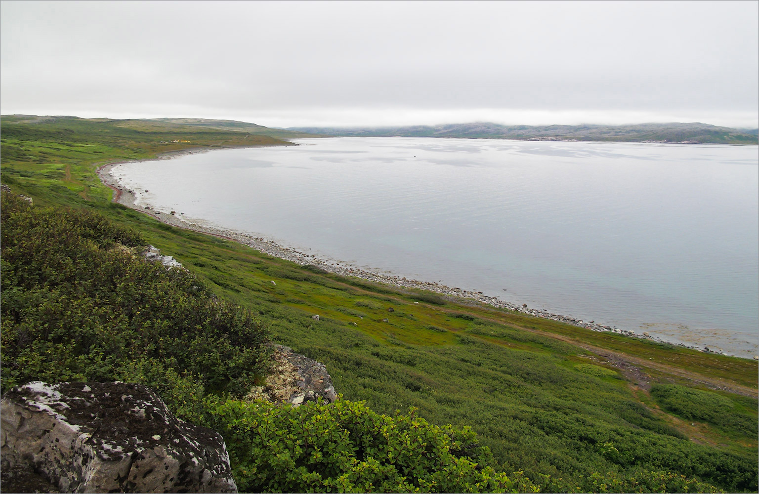 Малая Волоковая губа, image of landscape/habitat.