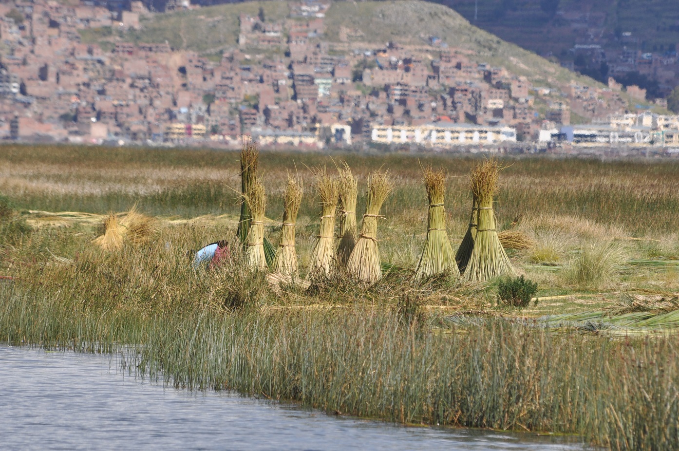 Озеро Титикака, image of landscape/habitat.