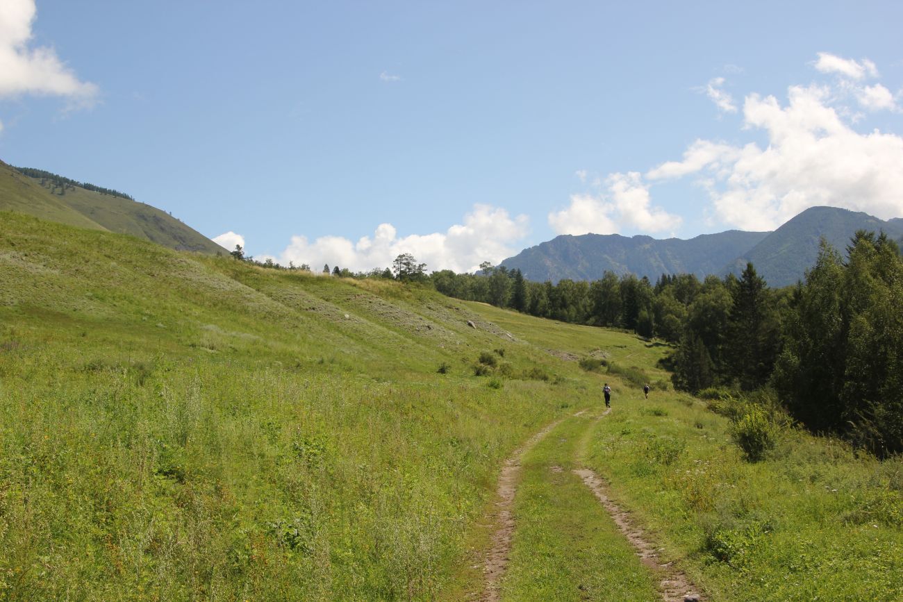 Окрестности ручья Тургунда, image of landscape/habitat.