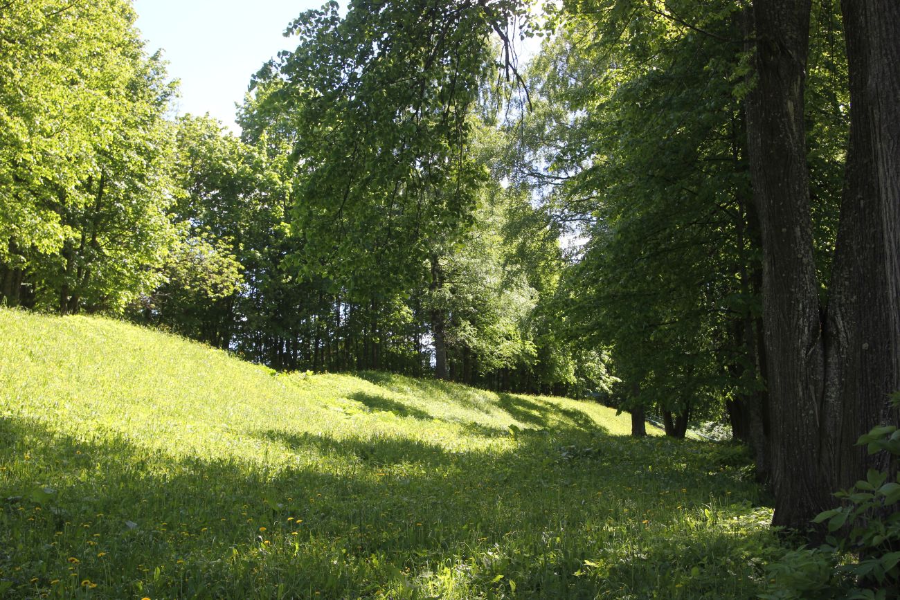 Окрестности Чухломского озера, image of landscape/habitat.