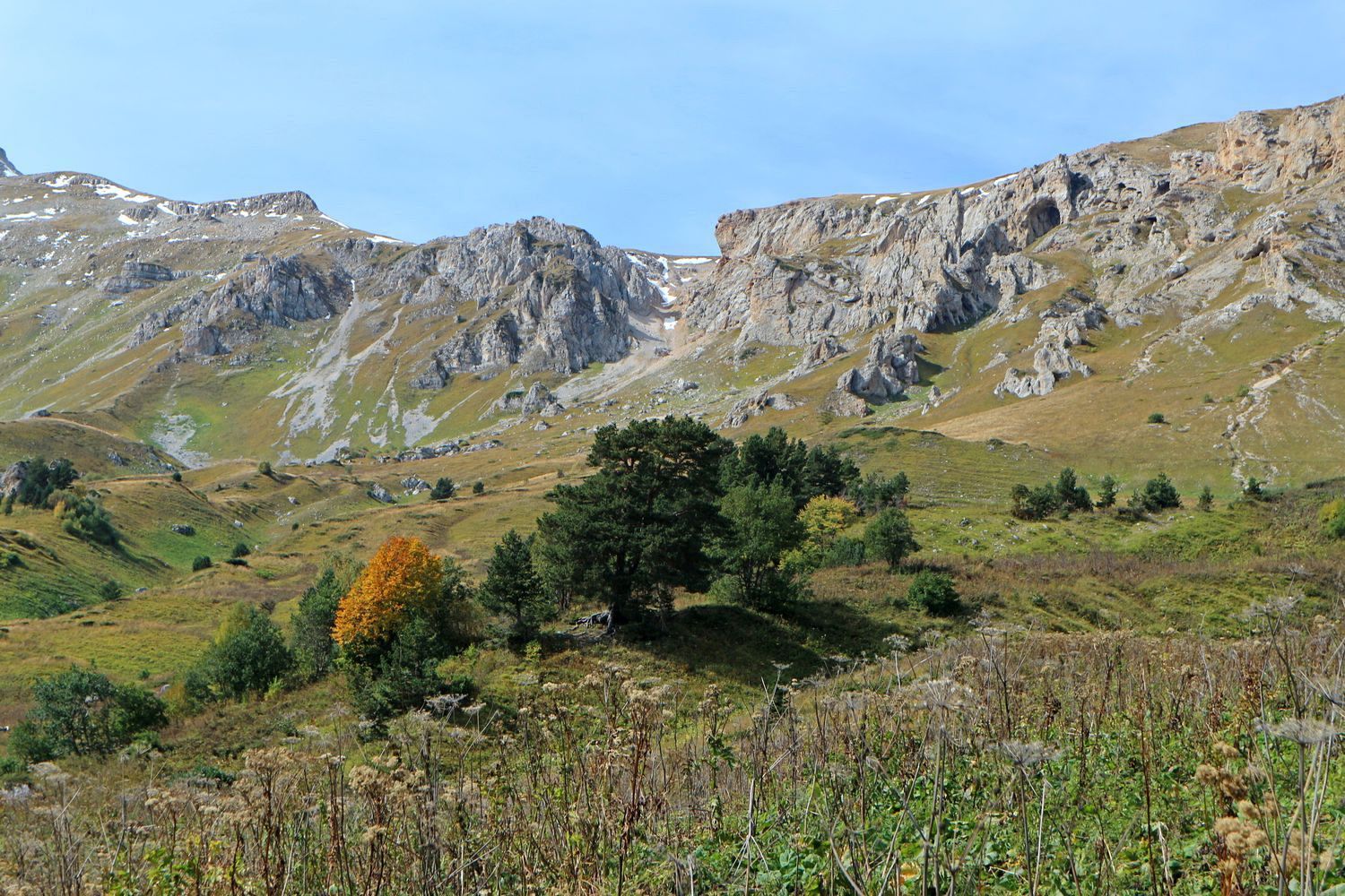 Узуруб, image of landscape/habitat.