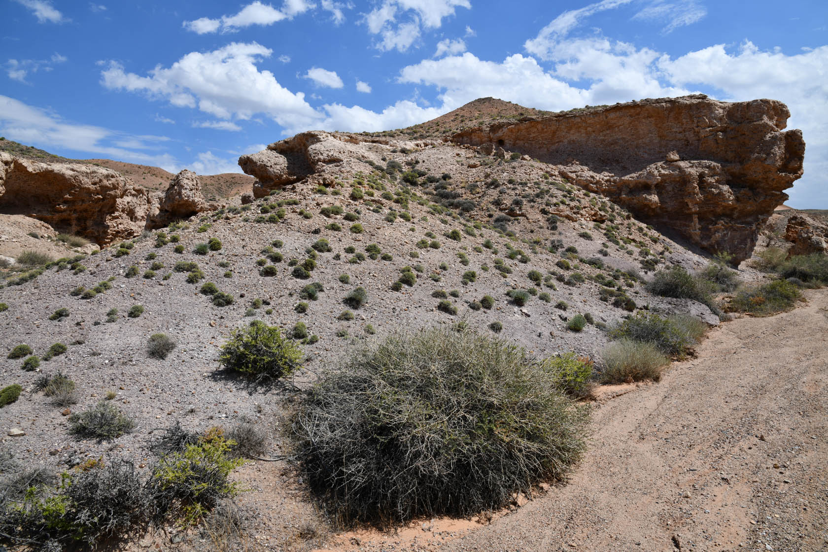 Горы Улькен-Богуты, image of landscape/habitat.