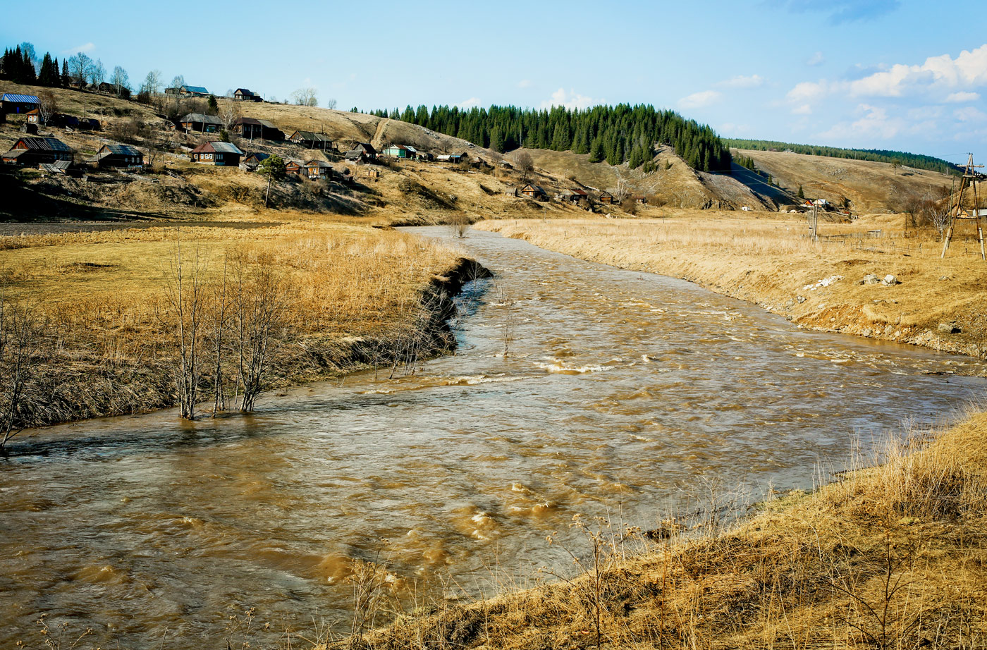 Кын и его окрестности, image of landscape/habitat.