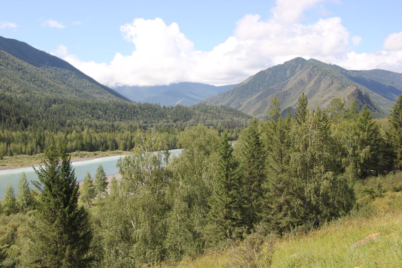 Окрестности ручья Тургунда, image of landscape/habitat.