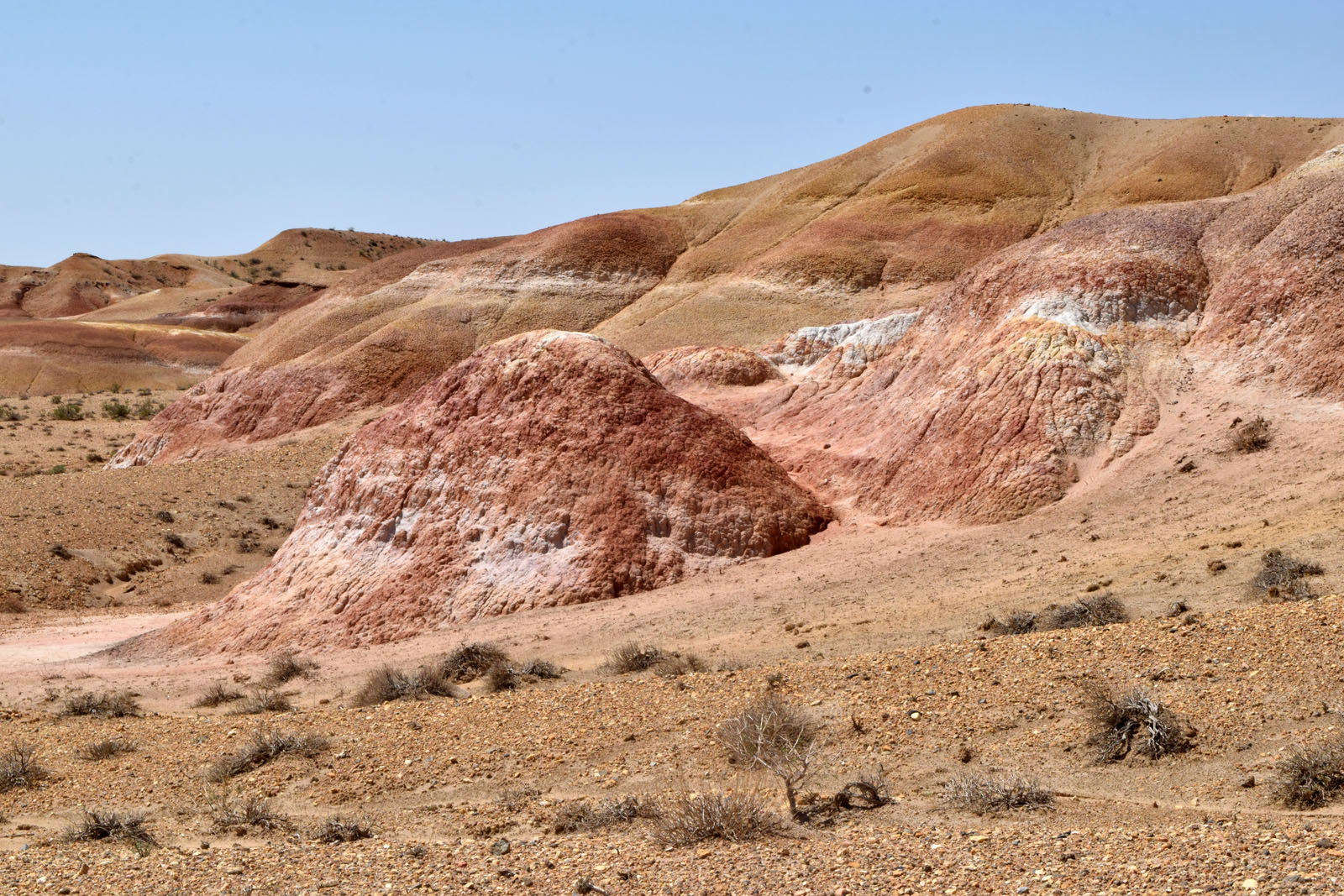 Кызылкумская пустынная станция, image of landscape/habitat.