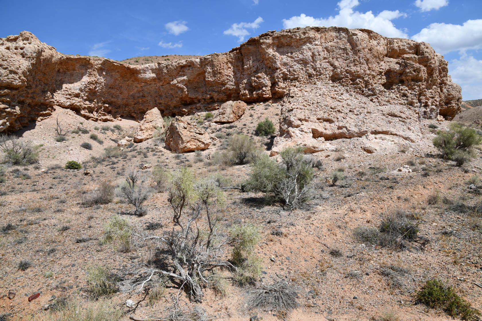 Горы Улькен-Богуты, image of landscape/habitat.