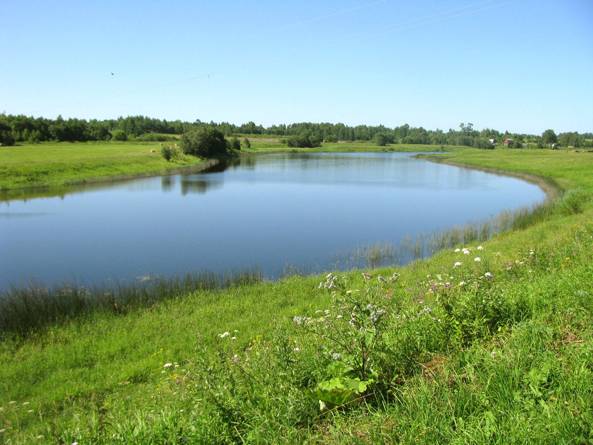 Корожечна в зоне подпора, image of landscape/habitat.