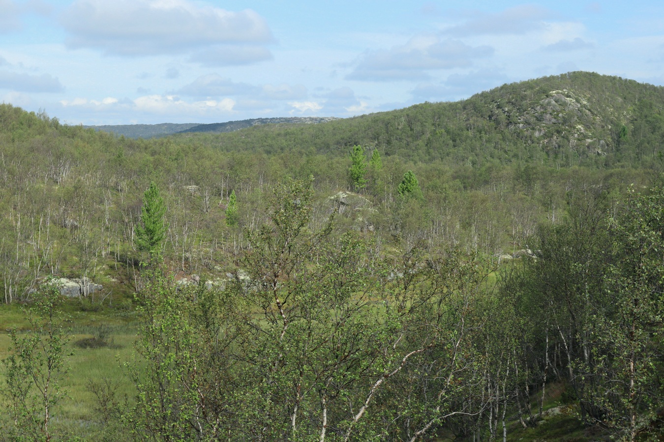 Пьяное озеро, image of landscape/habitat.