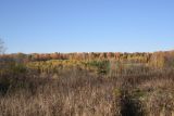 Олешь и окрестности, image of landscape/habitat.