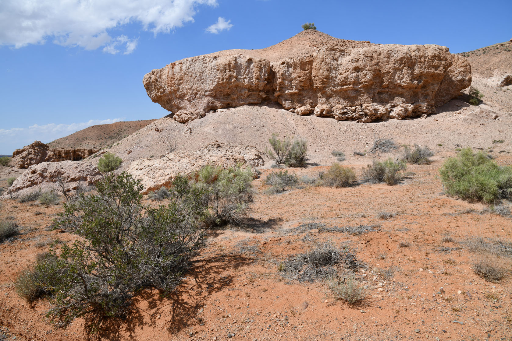 Горы Улькен-Богуты, image of landscape/habitat.