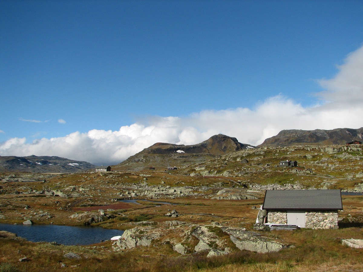 Finse, image of landscape/habitat.