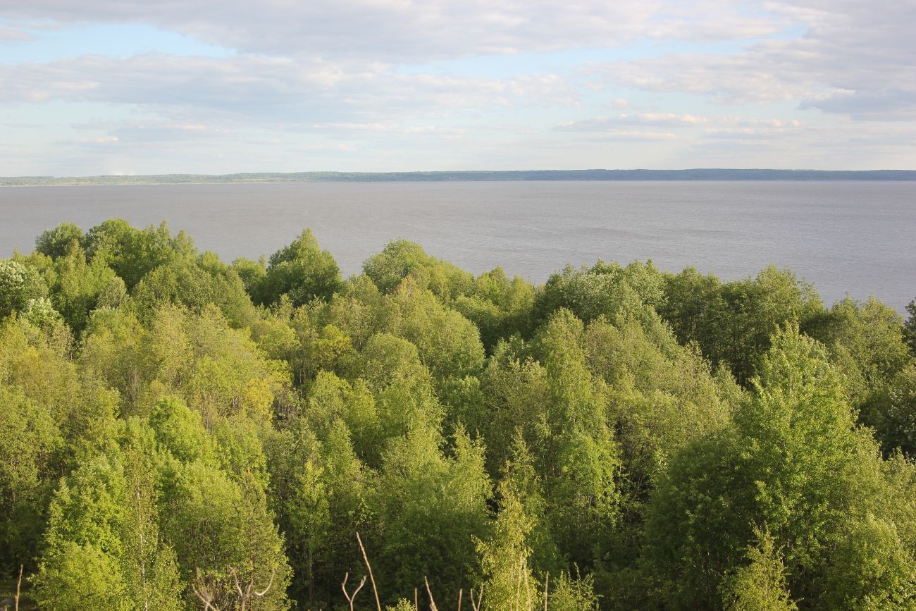 Авраамиев-Городецкий монастырь, изображение ландшафта.