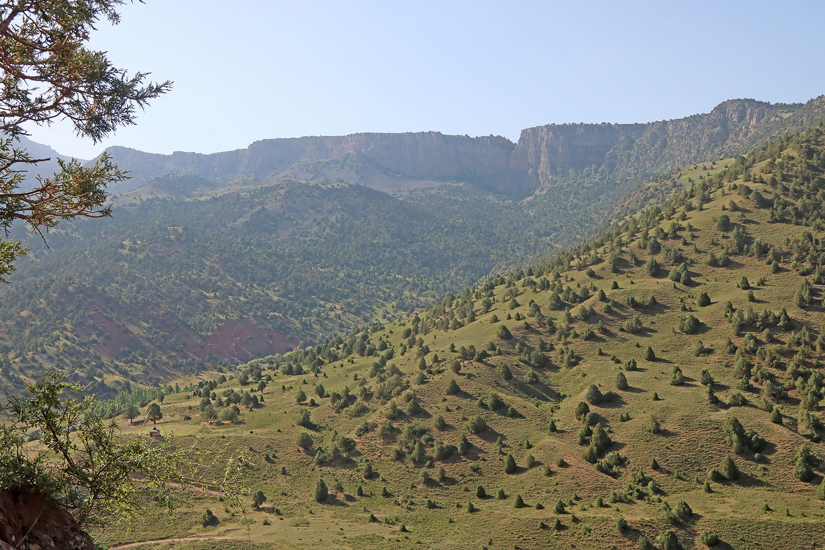 Окрестности кишлака Кызылнаур, image of landscape/habitat.