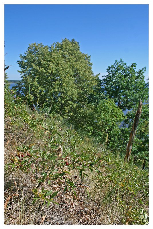 Саралы, image of landscape/habitat.