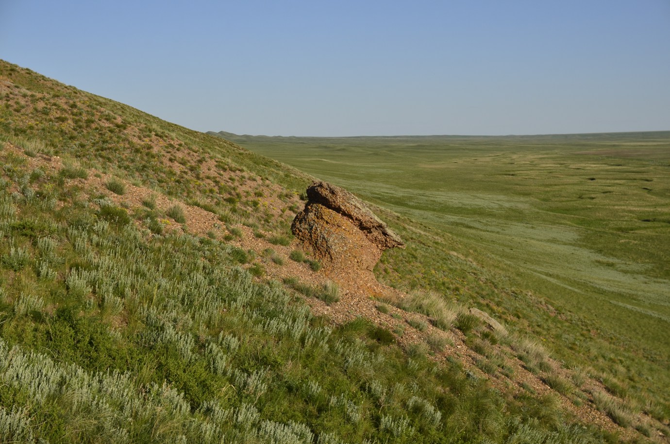 Кзыладырское карстовое поле, image of landscape/habitat.