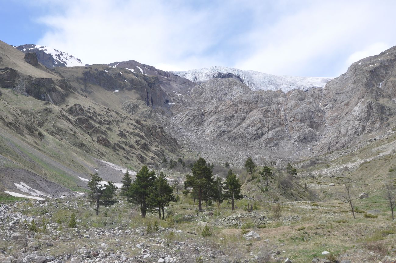 Долина реки Терскол, image of landscape/habitat.