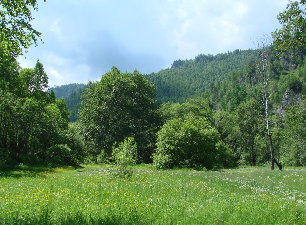 Слюдянка, image of landscape/habitat.