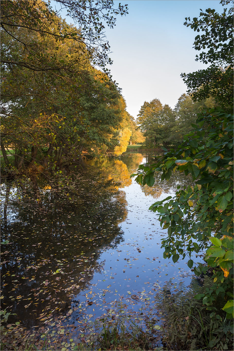 Парк "Дубки", image of landscape/habitat.