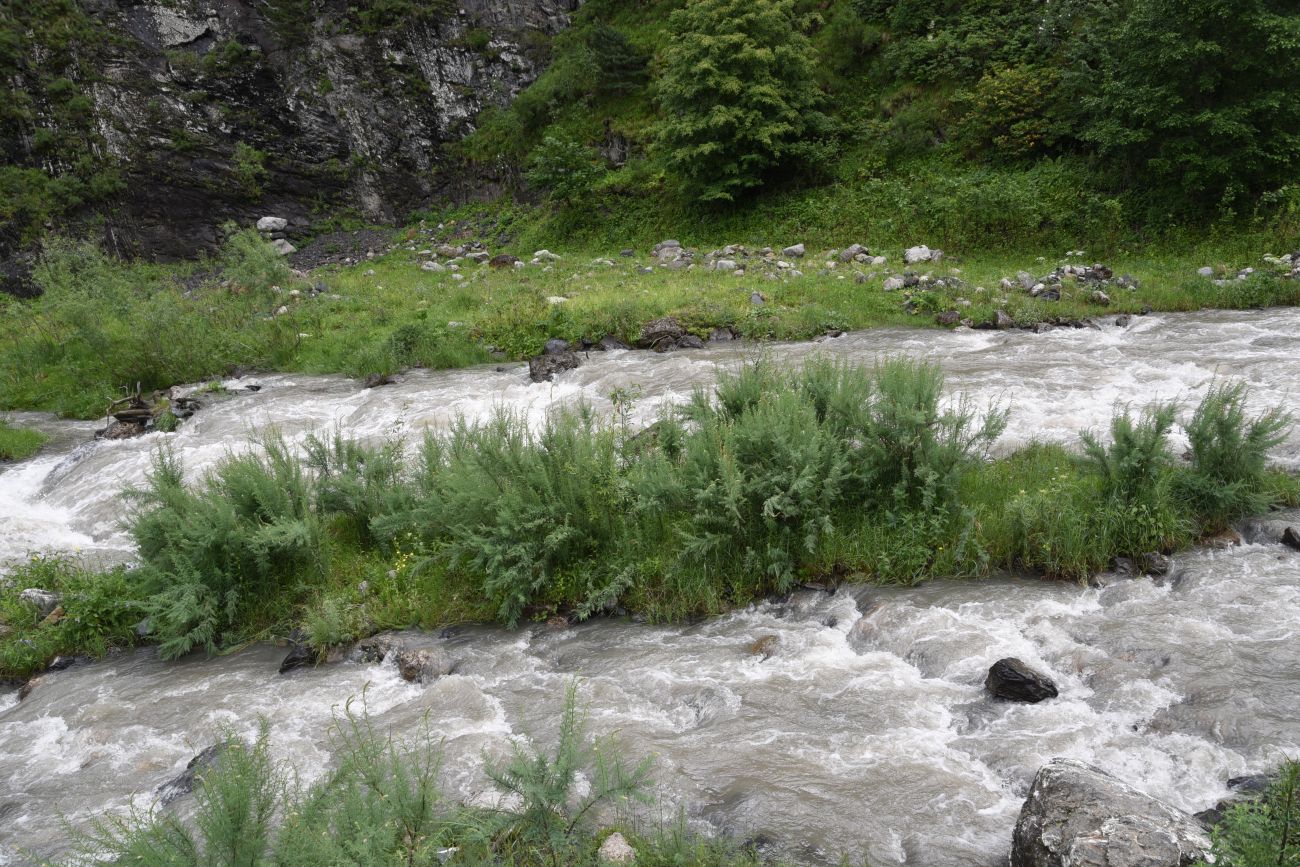 Окрестности Ольгети, image of landscape/habitat.