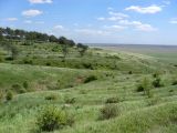 Аксайская степь, image of landscape/habitat.