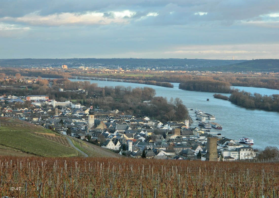 Рюдесхайм (на Рейне), изображение ландшафта.