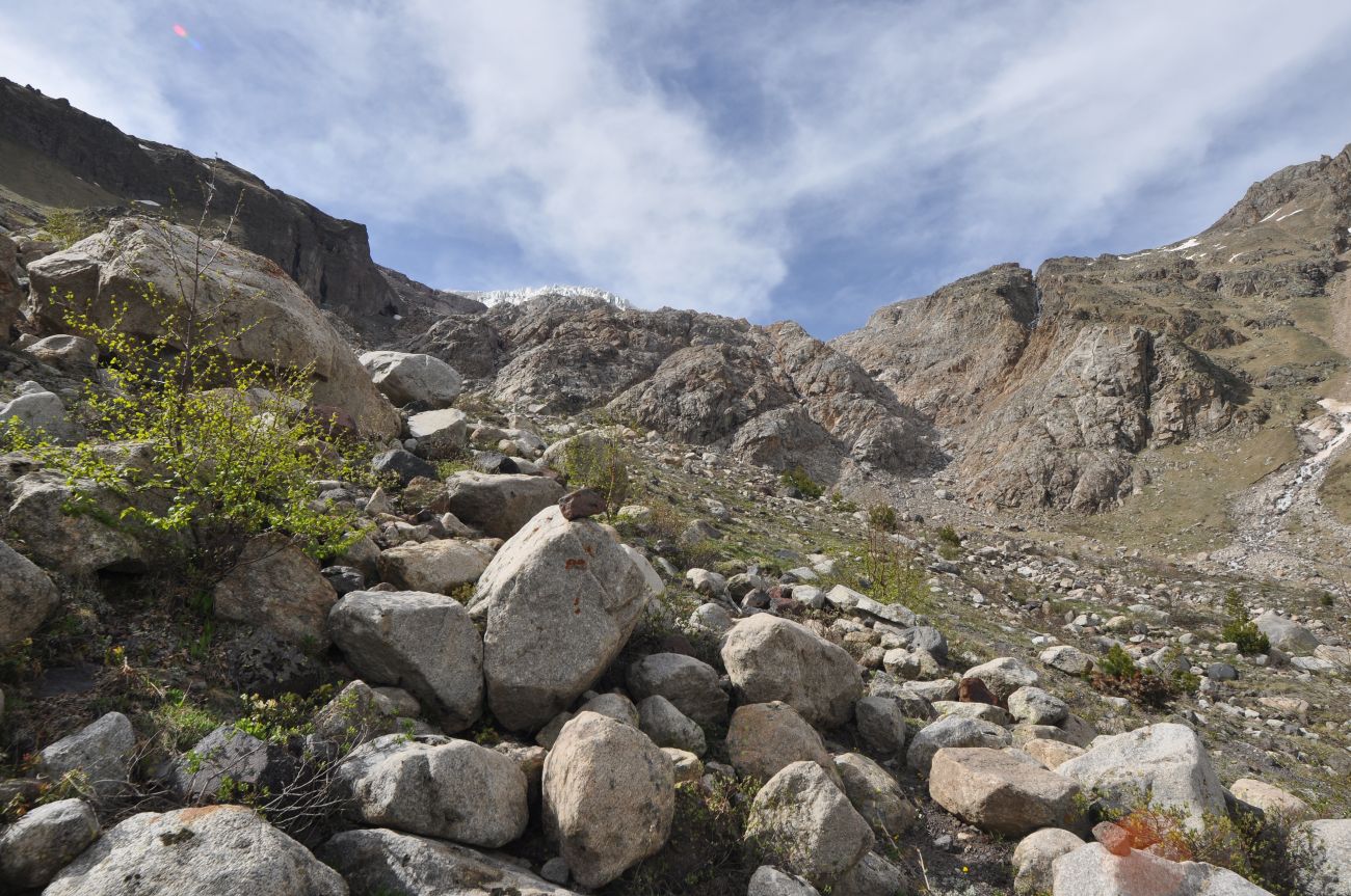 Долина реки Терскол, image of landscape/habitat.