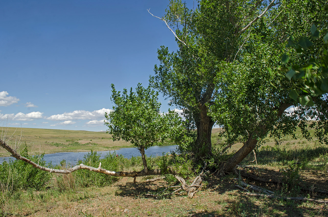 Грязнушинский, image of landscape/habitat.