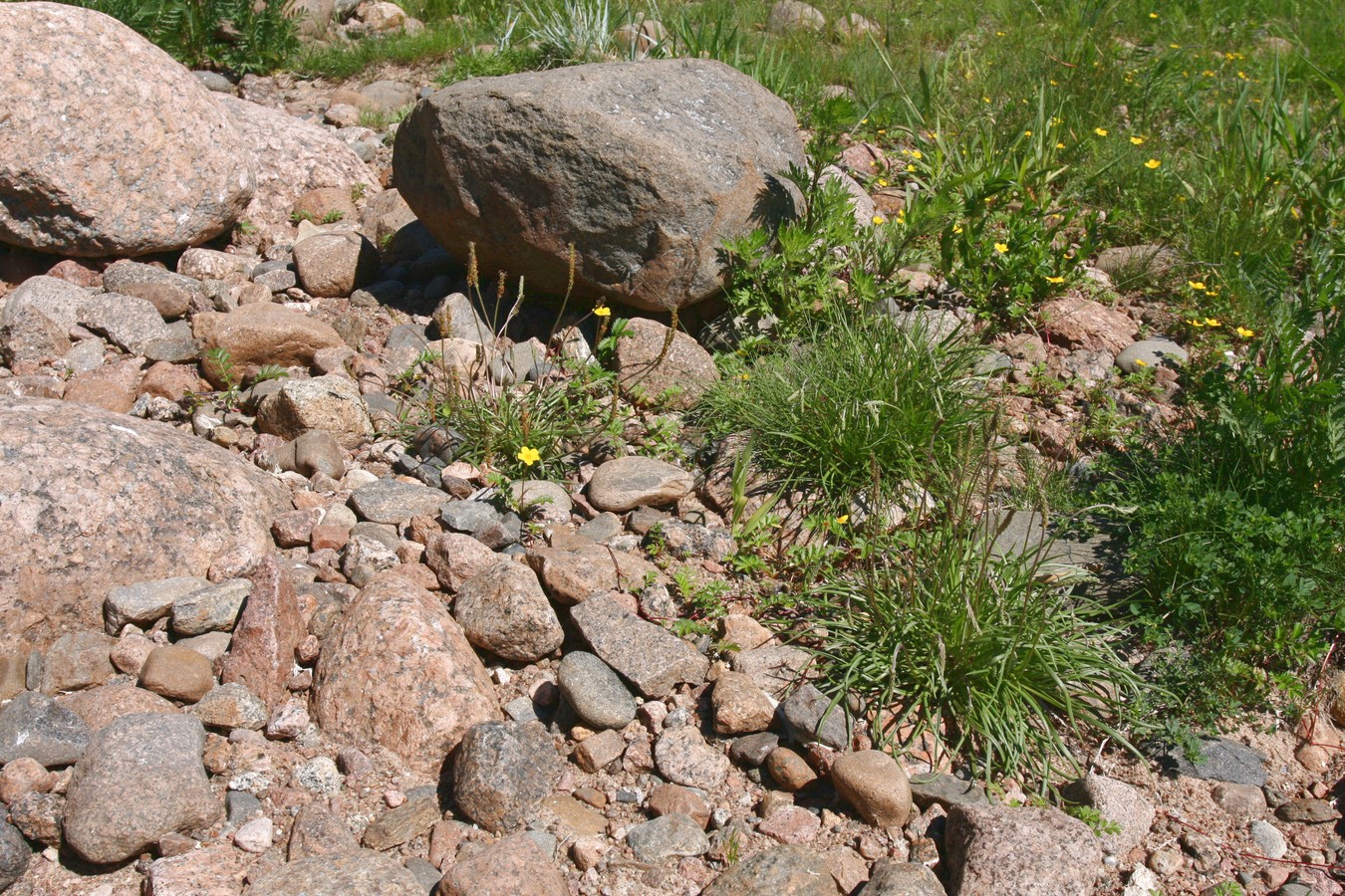 Каравалдай, image of landscape/habitat.