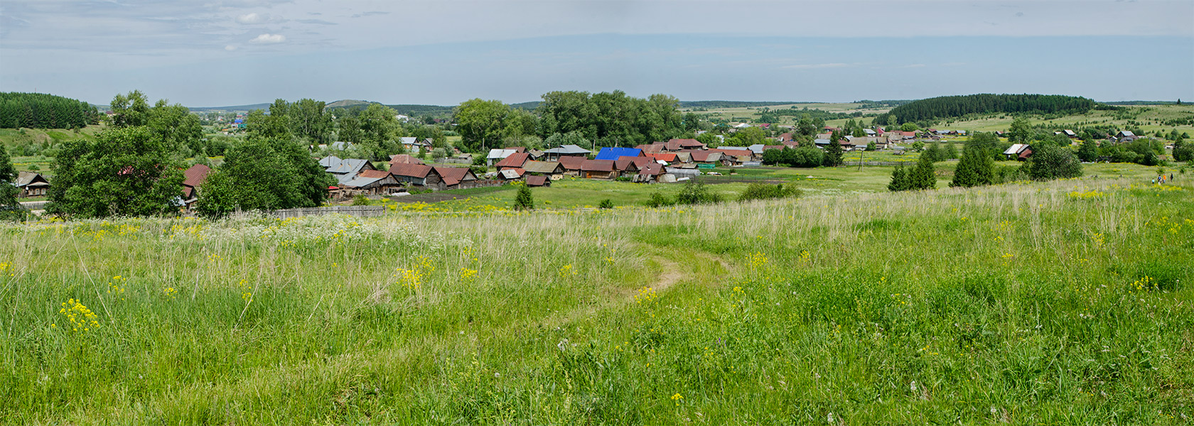 Окрестности Осинцово, image of landscape/habitat.