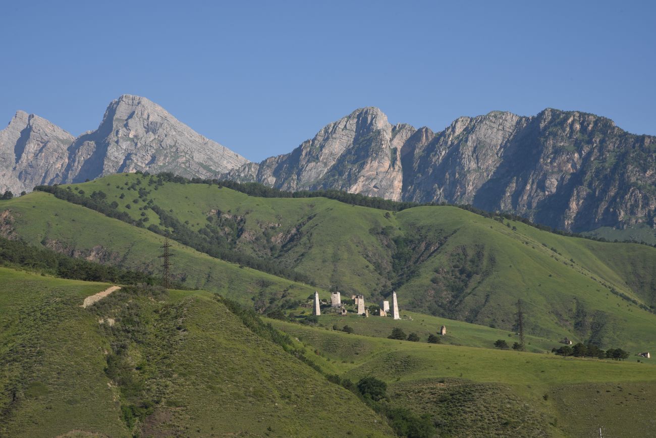 Урочище Хамхи, image of landscape/habitat.