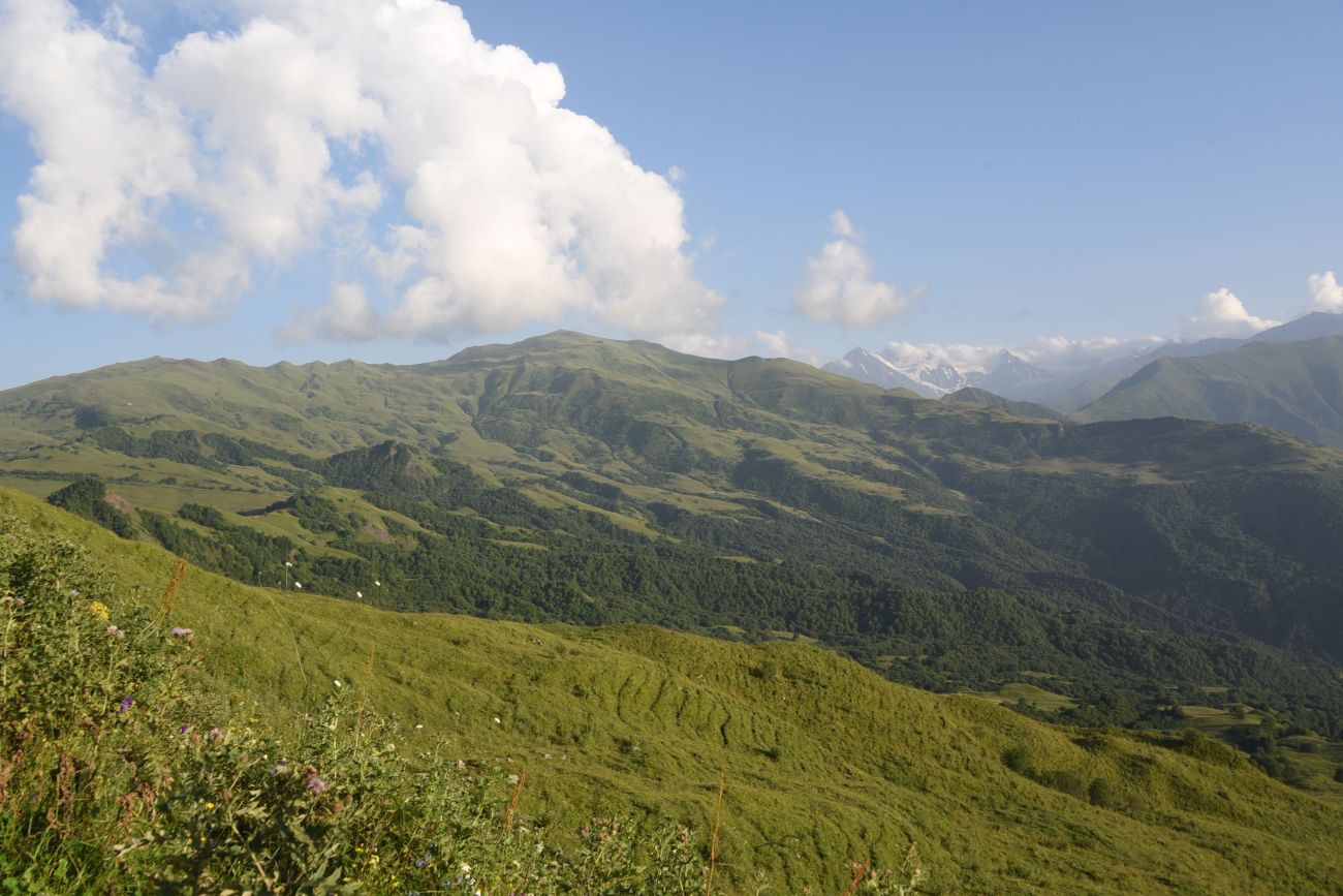 Окрестности горы Чархунышкорт, image of landscape/habitat.