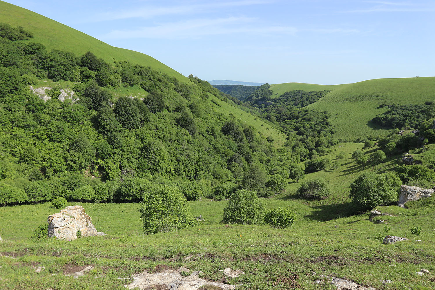 Балка Клевцова, image of landscape/habitat.