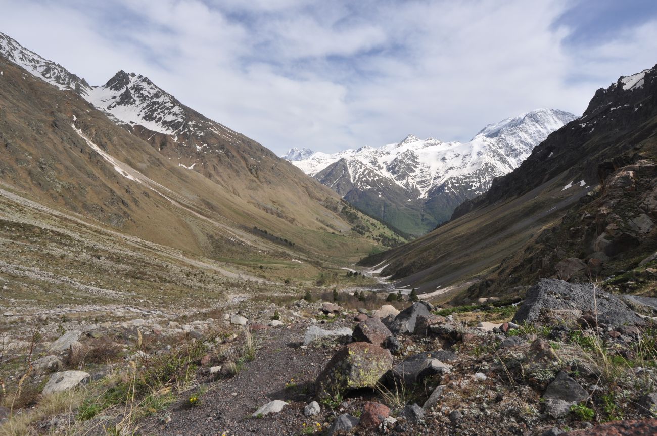 Долина реки Терскол, image of landscape/habitat.