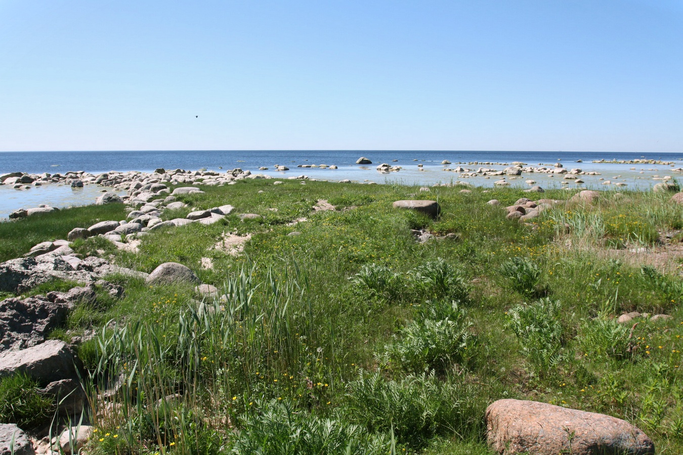 Каравалдай, image of landscape/habitat.