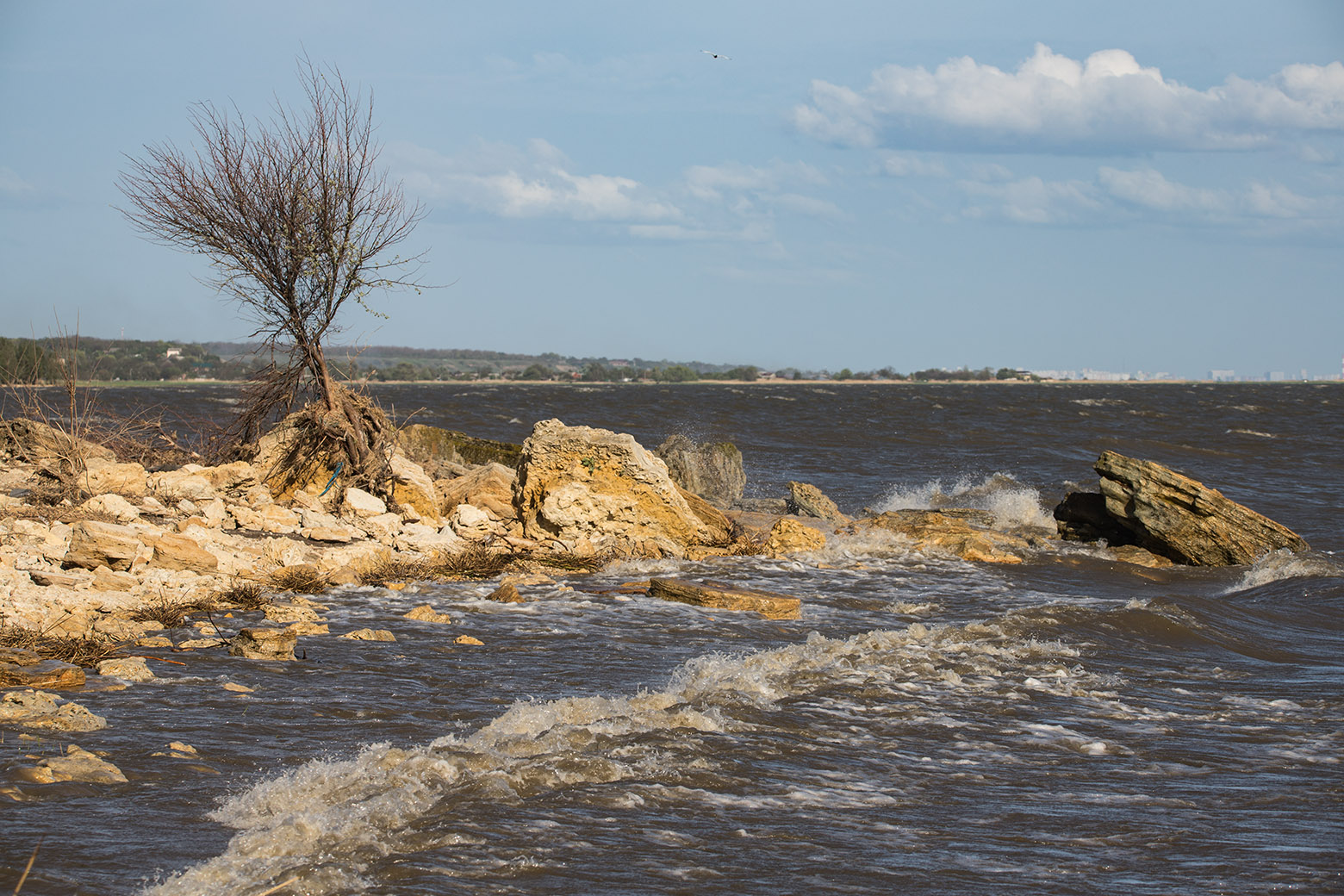 Мержаново, image of landscape/habitat.