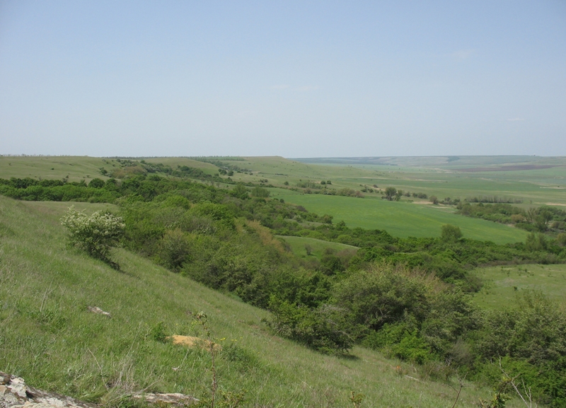 Окрестности Шишкино, image of landscape/habitat.