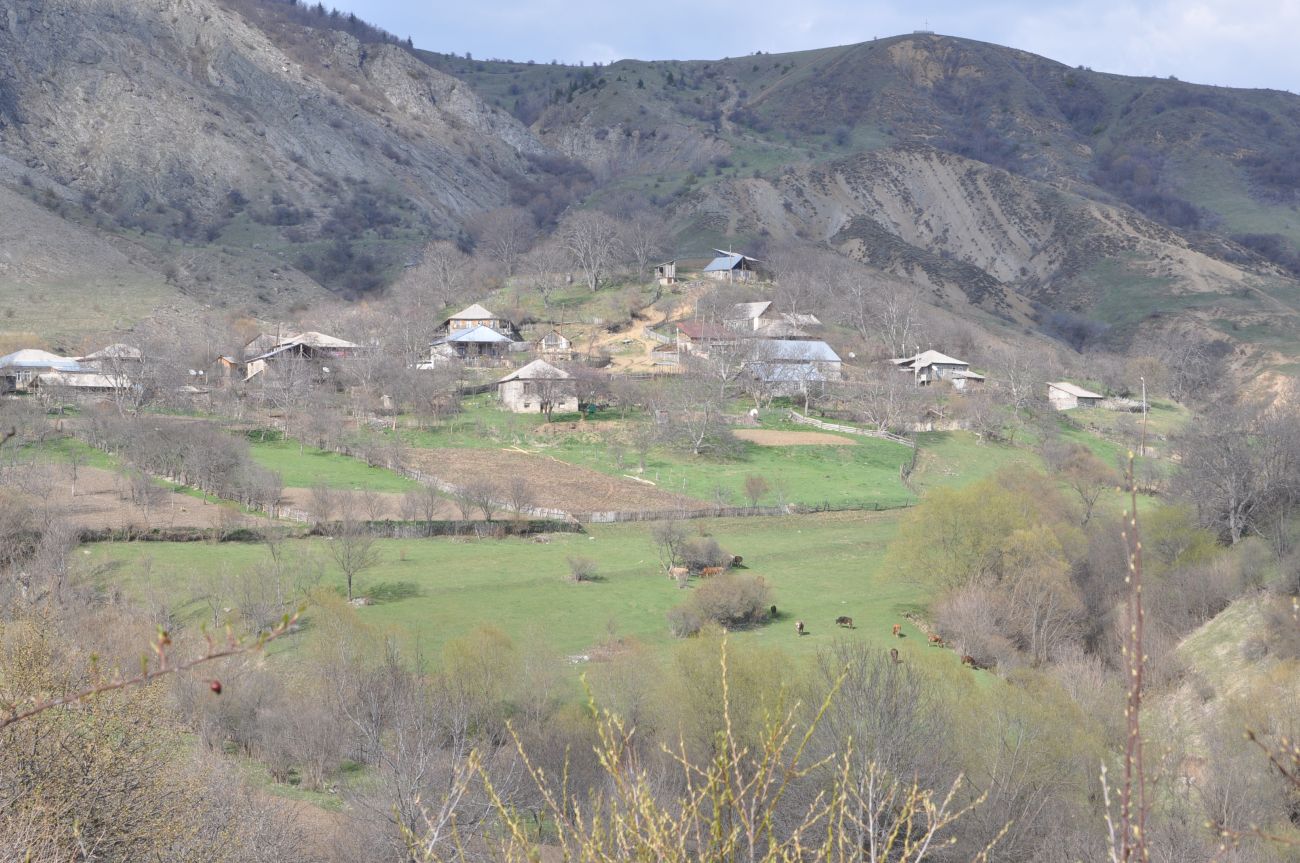 Село Шока, image of landscape/habitat.