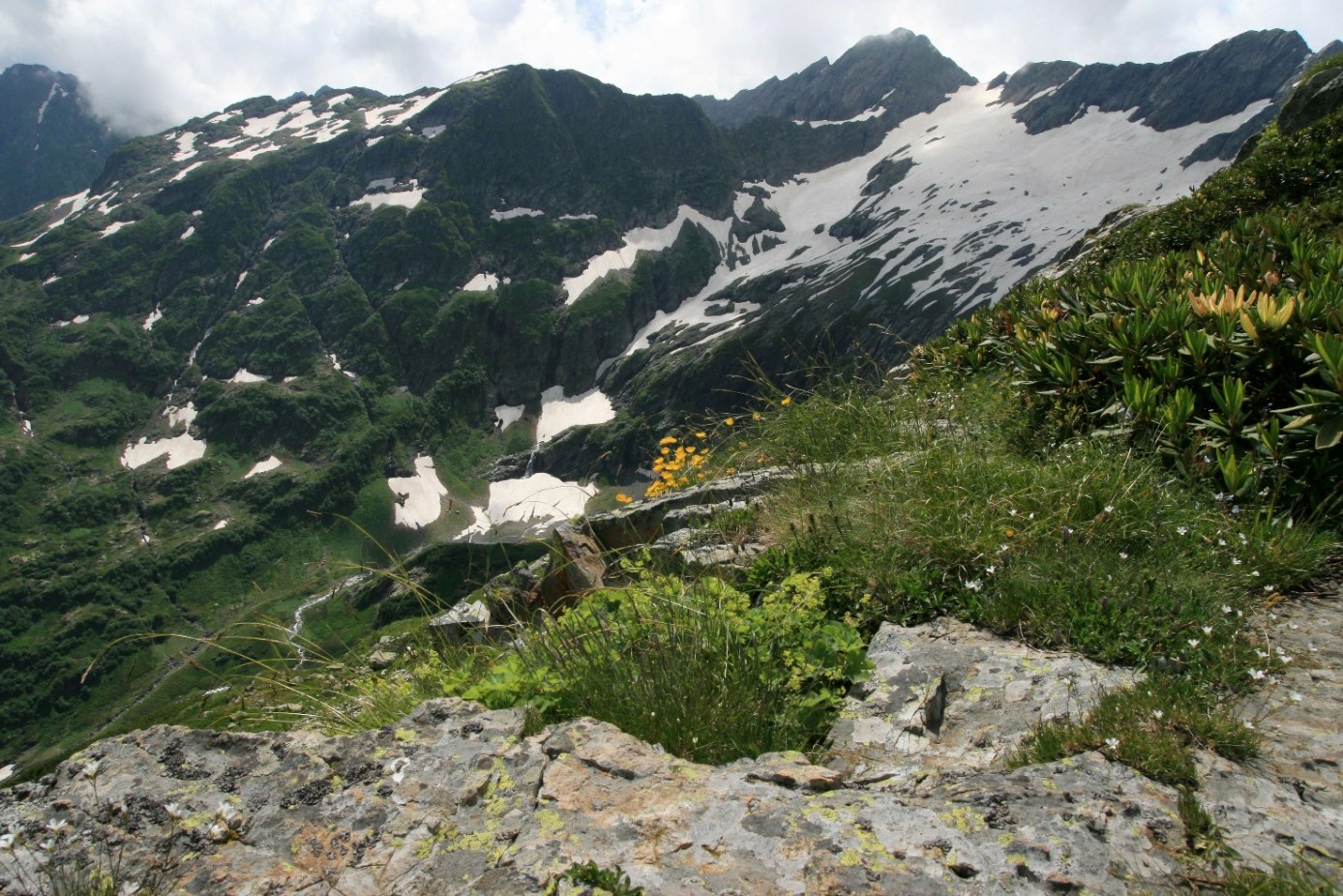 Долина реки Киша, image of landscape/habitat.