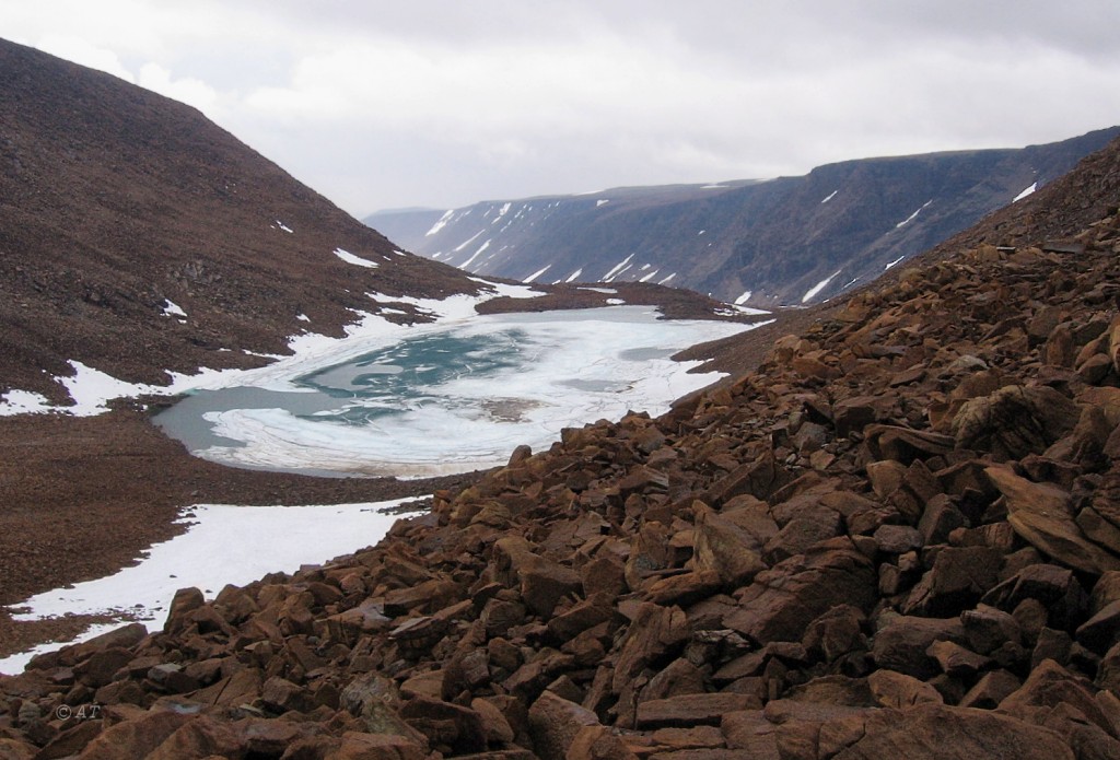 Пайер, image of landscape/habitat.