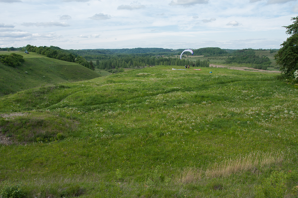 Труворово городище, image of landscape/habitat.