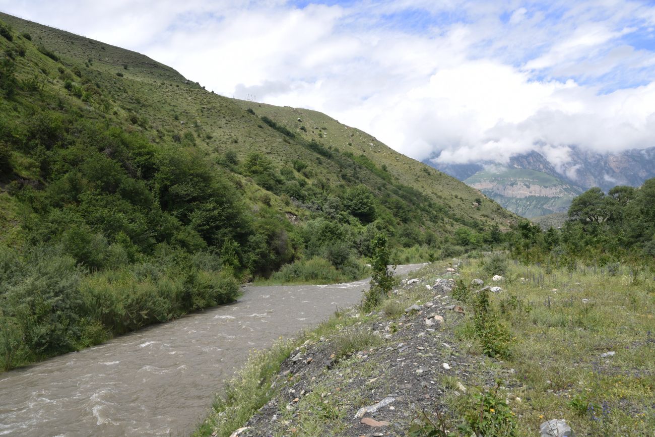 Окрестности Пхамат, image of landscape/habitat.